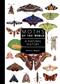 Moths of the World: A Natural History