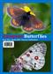 European Butterflies Issue 9. Spring 2026