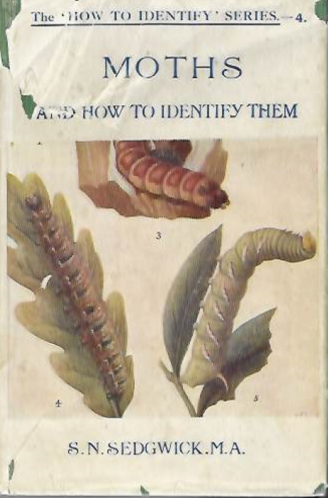 Sedgwick, S.N. - Moths and How to Identify Them