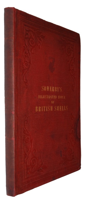 Sowerby, George Brettingham (II) - Illustrated Index of British Shells. Containing Figures of All the Recent Species, with Names and other Information