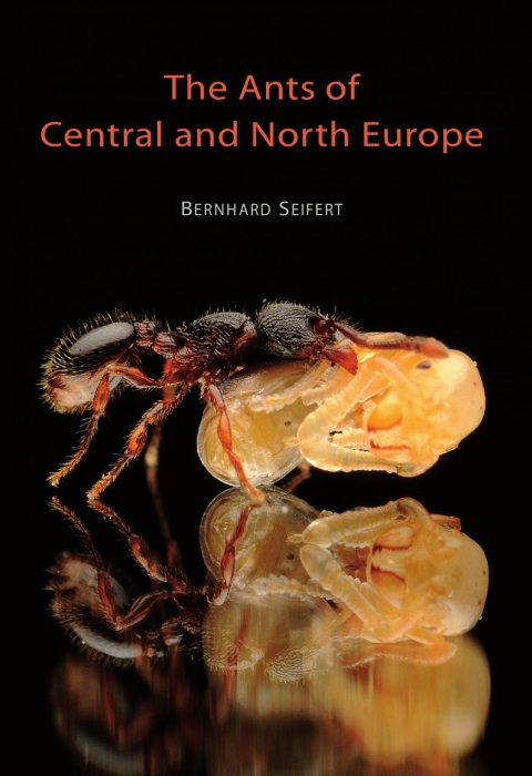 Seifert, B. - The Ants of Central and North Europe