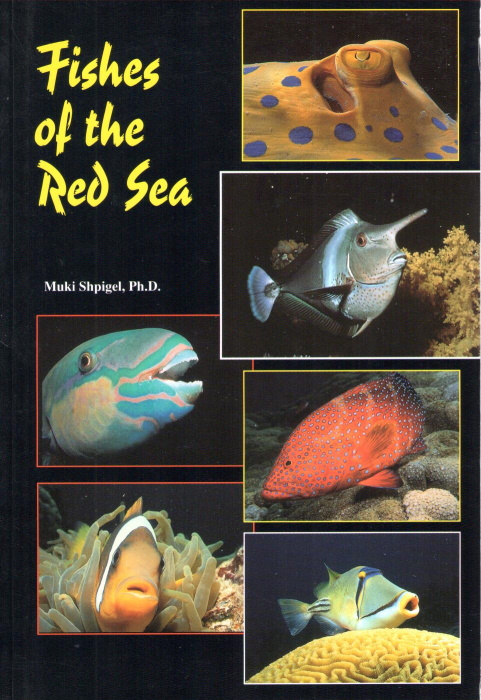 Shpigel, M. - Fishes of the Red Sea