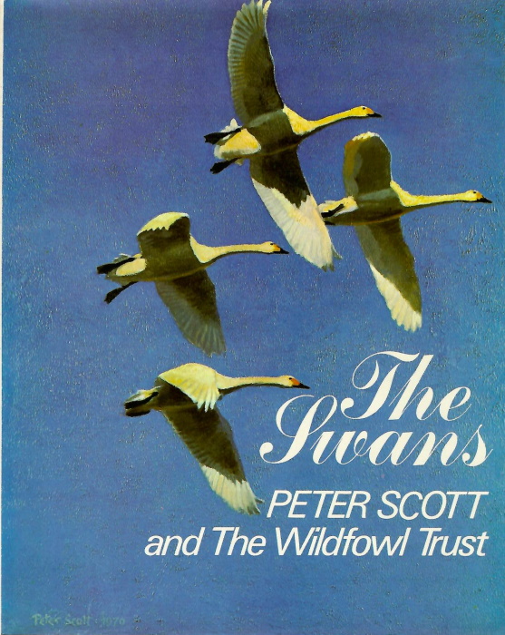 Scott, Peter; Wildfowl Trust - The Swans