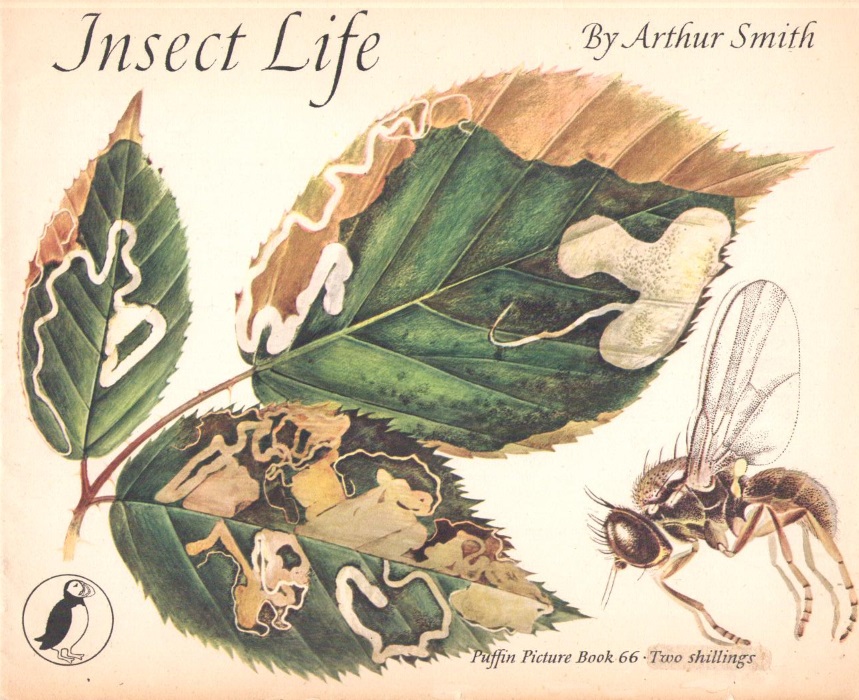 Smith, A. - Insect Life (Puffin Picture Book No. 66)