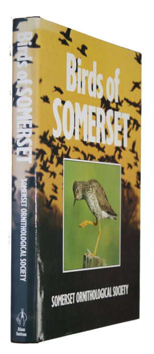 Somerset Ornithological Society - Birds of Somerset