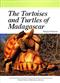 The Tortoises & Turtles of Madagascar