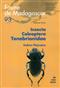 Insecta Coleoptera Tenebrionidae (Faune de Madagascar 93) Faune de Madagascar 93