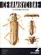 Cerambycidae Sul-Americanos. Suplemento 2