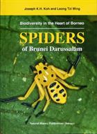 Spiders of Darussalam: Biodiversity in the Heart of Borneo