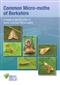 Common Micro-moths of Berkshire: A Guide to Identification of Some Common Micro-moths