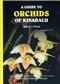 A Guide to Orchids of Kinabalu