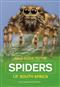 Field Guide to the Spiders of South Africa