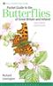 Pocket Guide to Butterflies of Great Britain and Ireland