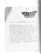 Notes on Insects, 1692 & 1695 by Charles duBois