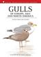 Gulls of Europe, Asia and North America