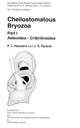 Cheilostomatous Bryozoa. Pt 1: Aeteoidea - Cribrilinoidea (Synopses of the British Fauna 10)