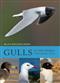 Gulls of the World: A Photographic Guide