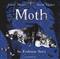 Moth: An Evolution Story