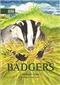 Badgers