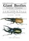 Giant Beetles. Euchirinae, Dynastinae