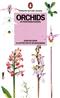 Orchids of Northern Europe (Penguin Nature Guides)