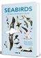 Seabirds: The New Identification Guide