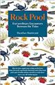 Rock Pool: Extraordinary Encounters Between the Tides