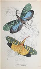 Introduction to Entomology The Naturalist's Library XXIX. Entomology I