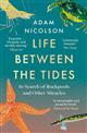 Life Between the Tides: In Search of Rockpools and Other Miracles