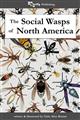 The Social Wasps of North America