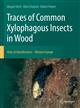 Traces of Common Xylophagous Insects in Wood: Atlas of Identification – Western Europe