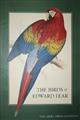 The Birds of Edward Lear A Selection of the 12 finest bird plates of the Artist