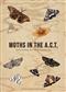 Moths in the A.C.T. [Australian Capital Territory]