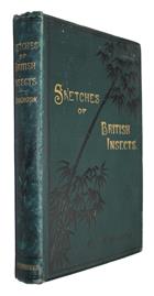 Sketches of British Insects: A Handbook for Beginners in the Study of Entomology