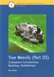 True Weevils 3: Coleoptera: Curculionidae (Curculioninae, Baridinae, Orobitidinae) (Handbooks for the Identification of British Insects 5/17d)