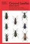 Ground Beetles: (Naturalists' Handbooks 8)