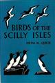 Birds of the Scilly Isles