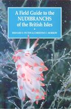 A Field Guide to the Nudibranchs of the British Isles