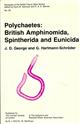 Polychaetes: British Amphinomida, Spintherida and Eunicida (Synopses of the British Fauna 32)