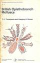 British Opisthobranch Molluscs Mollusca: Gastropoda (Synopses of the British Fauna 8)