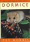 Dormice