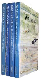 Birds of Prey [and] Seabirds [and] Wildfowl [and] Waders (Hamlyn Bird Behaviour Guides)