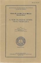 A new pliocene stork from Nebraska