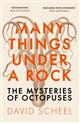 Many Things Under a Rock: The Mysteries of Octopuses