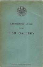 Illustrated Guide to the Fish Gallery