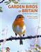 An Identification Guide to Garden Birds of Britain: and North-West Europe