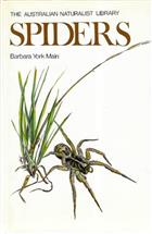 Spiders (The Australian Naturalist Library)