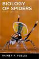 Biology of Spiders