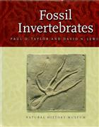 Fossil Invertebrates 