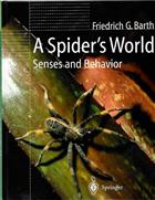 A Spider's World: Senses and Behavior